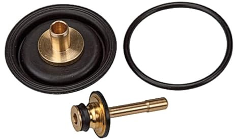 RIEGLER 100460-22.1611.4 Verschleißteilesatz, für Präzisionsdruckregler »multifix«, BG 1, 1Stk