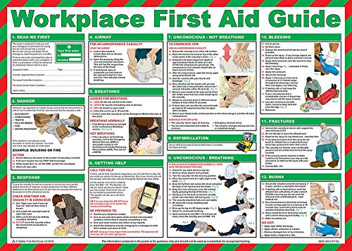 PDL – Pegdev - First Aid Laminated Health & Safety Poster - Workplace First Aid Guide - A2 Landscape Health & Safety Poster.