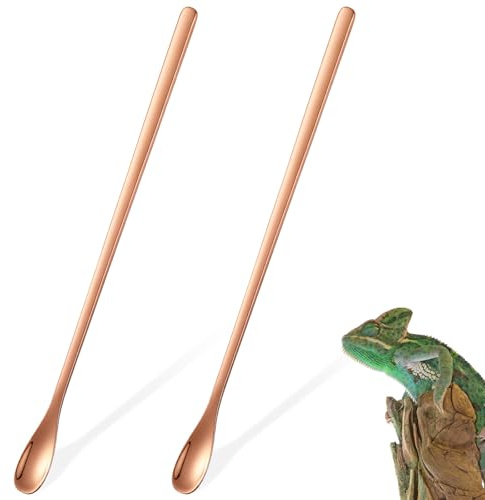 jojofuny Cuillère à Nourriture Facile à Utiliser en Acier Inoxydable pour Reptiles Manche Long 2 Pièces pour Lézards et Petits Animaux
