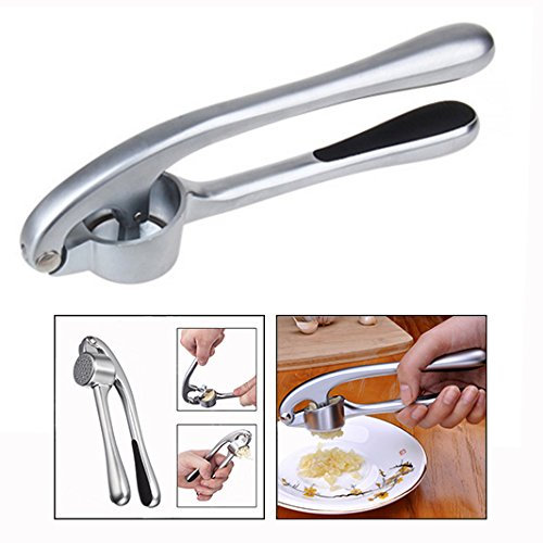 Itian Presse-ail de Cuisine Professionnelle, Presse Ail Inox Professionnel, Hachoir à Ail Broyeur de Gingembre