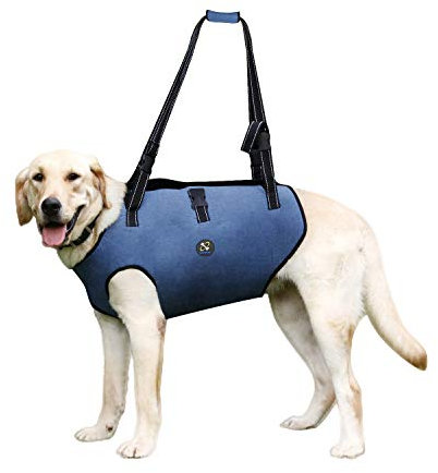 Coodeo Hundeliftgeschirr, Haustierunterstützung & Rehabilitation Sling Lift Verstellbare Gepolsterte atmungsaktive Gurte für Alt, Gelenkverletzungen, Arthritis, Stabilitätsverlust Hunde(Blau, 2XL)