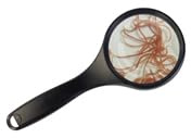Frisches Lebendfutter – 10 Beutel (je 45 ml) | Sahawa | Gekühlter Versand im Sommer | 4X Glanzwürmer + 4X Weiße Mückenlarven + 2X Tubifex