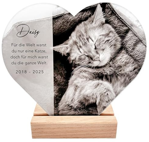 Gedenktafel Katze Andenken an verstorbene Katze Bild aus Acrylglas personalisiert zur Erinnerung & Trauer Glasherz mit Foto Geschenk für Katzenbesitzer inkl. Holzfuß 20x22 cm (Herz)