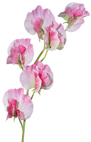 creativ home Kunstblume WICKENZWEIG ca 43 cm. Künstliche Wicken, Wicke. ROSA 3018090-10