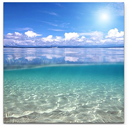 Paul Sinus Art Leinwandbilder | Bilder Leinwand 90x90cm Meerblick über und unter dem Wasser – Karibik