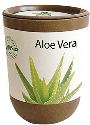 Feel Green Ecocan, Aloe Vera Exotics, Idée Cadeau (100% Biodégradable), Grow-Your-Own/Kit Prêt-à-Pousser, Le Pot Écologique Qui Croît 9 x 7 cm, Produit en Autriche