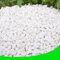 CJGQ Galets blancs pour plantes vases de jardin 3,2 kg pierres blanches gravier pierre décorative 1,27 cm