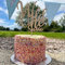 Wooden Wild One Personalised Cake Topper, 1st Birthday Party Cake, 1st Anniversary Cake Decoration, 1st Birthday Cake, Food Decoration