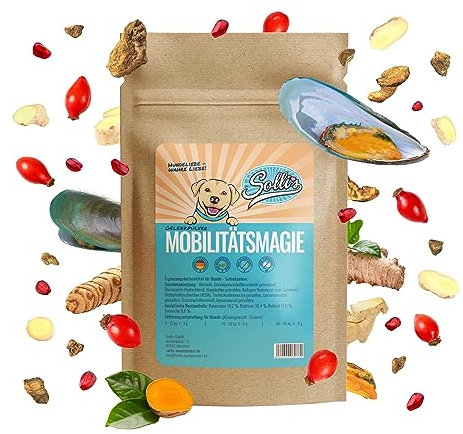 Sollis Gelenkpulver für Hunde | Grünlippmuschel | MSM | Teufelskralle | Glucosamin | Kollagen | 100g