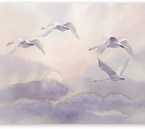 murando - Fototapete selbstklebend Vogel, 343x256 cm, Schlafzimmer, Full HD | Selbstklebend ohne Kleister, Full HD Druck, ideal fürs Wohn- oder Schlafzimmer, schnelle Montage, lichtbeständig, geruchsfrei