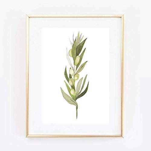 Kunstdruck Din A4 ungerahmt - Aquarell Olive Olivenzweig Blatt Blätter Zweig Ast Natur Grün Druck Poster Bild