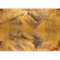 murando - Papier peint panoramique nature 450x315 cm - Revêtement mural décoration pour chambre salon cuisine - Design unique et moderne - Beige marron jaune - b-A-10185-a-c