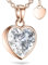 AMOONIC Herzkette Halskette Damen Rosegold (Silber 925 vergoldet) Kette mit Zirkonia Herz Anhänger Ich liebe Dich (45-50cm) Schmuckgeschenk für Frauen Sie Ehefrau zum Hochzeitstag Geburtstag Jubiläum