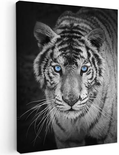 MuchoWow© Leinwandbilder 60x80 cm Wall Art Decoration Bilder für die Wand Schlafzimmer Deko Canvas Painting Wanddekoration Wohnzimmer Tiger - Tier - Schwarz - Blau - Modern