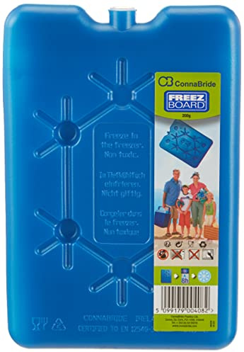 Thermos Ice Flat Carrea