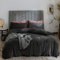 Michorinee Winter Plüsch Bettwäsche Set 200x200 Cashmere Touch Flauschig & Warme Coral Fleece Uni Bettbezug mit Reißverschluss - Anthrazit | 200 x 200 cm + 2 x 80 x 80 cm