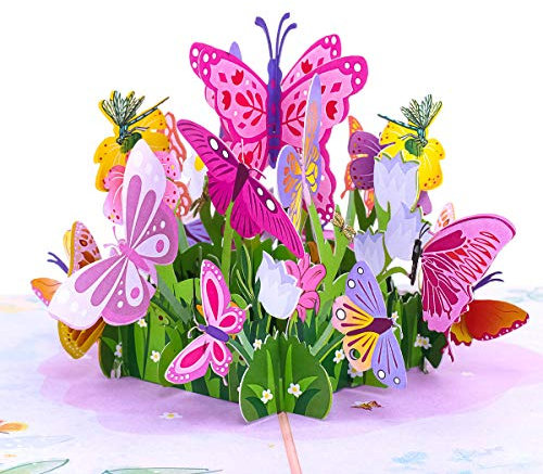 Favour Pop Up® - Glückwunschkarte zum Geburtstag, zum Grüßen in 3D. NEU: geniale Ergänzung - Karte für Grüße 9x14cm zum Einschieben. TL082