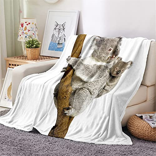Chickwin Kuscheldecke Fleecedecke Flanell, Tier Drucken Flauschig Kuscheldecke Warm Winter Wohndecke Flanelldecke Sofa Decken TV Decke Bettüberwurf Tagesdecke (130x150cm,Grauer Koala)