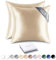 RENESSY Kissenhüllen aus 100% Bio-Seide 40x40 cm (2-Pack) - 22 Momme Maulbeerseide, Güteklasse 6A, Oeko-Tex zert. in Deutschland - Luxus für Haar und Haut (Champagner)