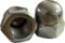 UNF DOME NUTS A2 STAINLESS STEEL HEX ACORN 10 1/4 5/16 3/8 1/2 5/8 1/2 (4, 5/16UNF DOME NUT)