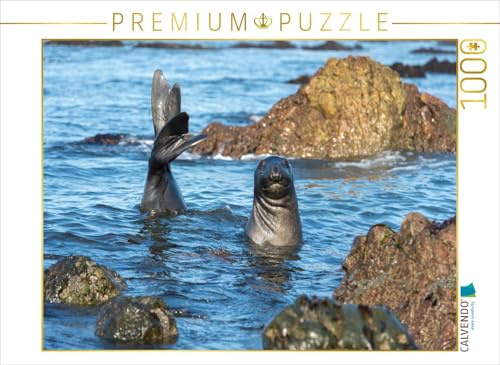 CALVENDO Puzzle Begrüßung eines Jungen See-Elefantens 1000 Teile Puzzle quer | Lege-Größe cm Foto-Puzzle für glückliche Stunden