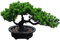 Aisamco Künstlicher Bonsai-Baum Gefälschte Pflanze Künstliche Zimmerpflanzen im Topf Japanische Kiefern-Bonsai-Pflanze mit Einer Höhe von 19 cm und Einer Breite von 34 cm für die Inneneinrichtung