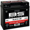 BS Battery Batteria SLA12-20 per uso intensivo