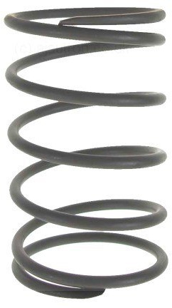 Wandlerfeder Piaggio, 831098