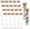 20 Stück 30Ml Mini Glasflaschen Gläser, Reagenzglas Mit Korken, Transparente Kleine Wunschflaschen, Reagenzgläser Glasflasche, Mini Glasflaschen Mit Korken, Für Süßigkeiten, Gewürze, Perlen