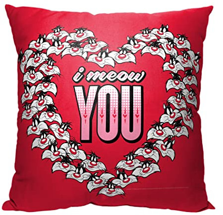 Northwest Warner Bros. Looney Tunes Kissen, 45,7 x 45,7 cm, Meow You