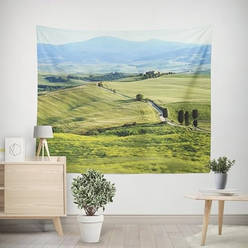 EHOMERY Tapisserie Panoramique Chambre Asiatique Décoration Murale Wc Toilettes Prairie Murales Papier Peint Uni 3D Salon pour le et la 260x240cm