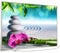 STEINFELD Bild Infrarotheizung mit Thermostat | Made in Germany | viele Motive 350-1200 Watt Rahmen silber (900W, 059 Zen-garten)