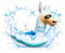 XXL Schwimmtier - Lama - Luftmatratze fürs Wasser - Pool Spielzeug für Kinder - aufblasbare Tiere für den Pool - Wassertiere aufblasbar - Schwimmtiere für den Pool - Pool Tiere