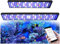 PopBloom H54/H75 WiFi Meerwasser Aquarium Beleuchtung, Volles Spectrum Led Aquarium Lampe für Reef Coral SPS/LPS Fischaquarium, APP unterstützt Deutsch (für 135-160cm)