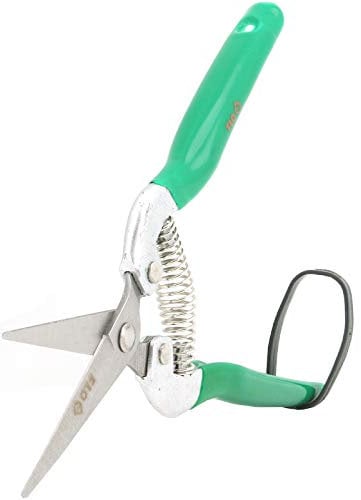 FRUIT AND FLOWERS SHEARS