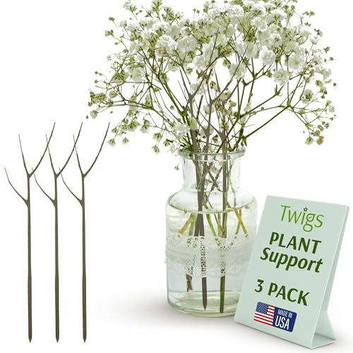 Twigs GA - Twig Plant Stakes for Indoor Plants, Aesthetic Plant Support Stakes for Flower Arrangements and Gardens, Plant Trellis Outdoor, Plant Accessories - Moonstone, 3 Pack, 22 L, Original