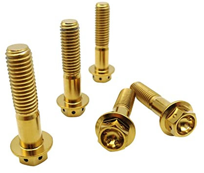 RISON-Titanium 5 Stück Titanschrauben M8x1.25x25mm, Titan Flansch Schrauben Sechskantschraube, Titan Schrauben Bolzen Bremssattelschraube Motorradschrauben Autoschrauben