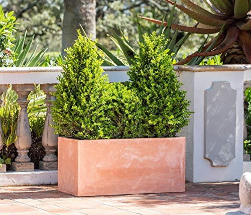 Primrose Garden Outdoor Fibrecotta Terracotta Trough Rectangular Planter Large 37cm³ (7.7in³)