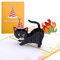 HENGBIRD Geburtstagskarte, Pop Up 3D Katz, Glückwunschkarte, Freundschaftskarte Geschenkkarte, Überraschungskarte Ermutigungskarten mit Schwarze Katze für Gute Besserung Danke Jahrestag
