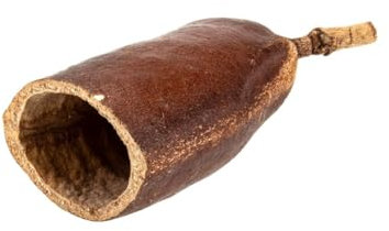 NaDeco Courbaril Schote geöffnet, Größe ca. 8-10cm | Hymenaea Courbaril | Tillandsien Deko | Terrarium Deko | Aquarium Deko | Natürliches Versteck für Reptilien, Garnelen und Insekten | Naturdeko