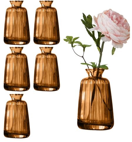 6 Stück Kleine Glasvasen für Tischdeko, Mini Vasen Blumenvase Set für Hochzeit Tischdeko(11× 6,5cm, Braun)