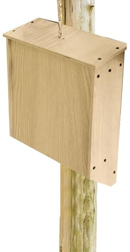 Fledermaushaus Aus Holz Und Wetterbeständig