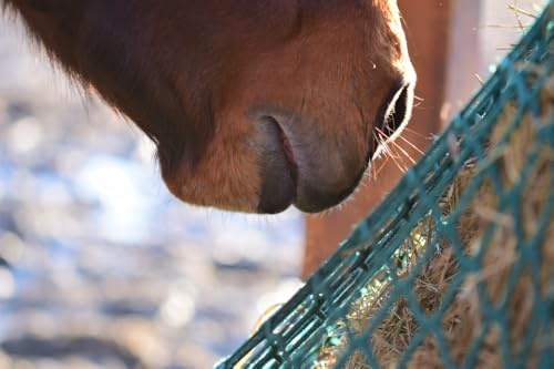 Konege Heunetz Tuch 3,0m x 3,0m, Mw 6,0cm, 5,0mm Kordelstärke