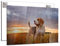 wandmotiv24 Ihr Foto auf Acrylglas 75 x 50 cm (BxH) - Querformat - Acrylglas SOFORT ONLINE VORSCHAU, personalisiertes Wandbild, Acrylbild, Glas Bild gestalten, personalisierte Foto-Geschenke