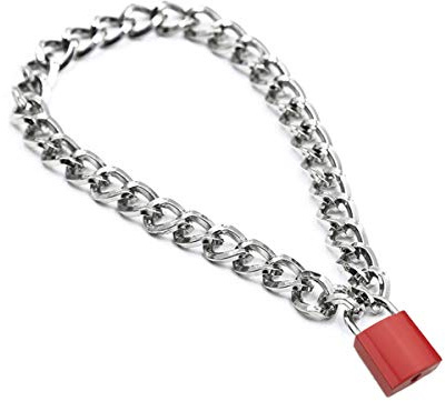 Padlock Necklace Metal Chain Collar Choker Heart Lock Necklace with Key and Box for Women, Men and Pet (16 to 22 Inches)