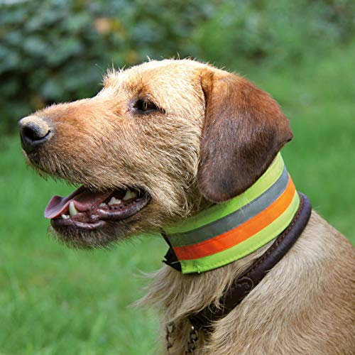 AKAH Reflektierendes Halsband für Hunde Halsweite: 35 cm | Breite: 5 cm