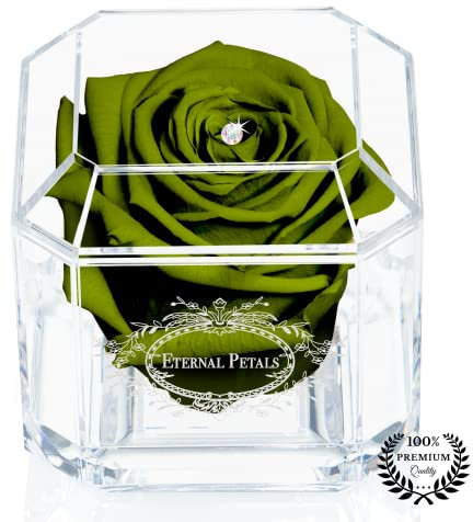 A 100% Real Rose That Lasts Years - Eternal Petals, Handmade in UK – White Gold Solo with A Multicolor Crystal (Dark Green)