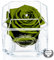 A 100% Real Rose That Lasts Years - Eternal Petals, Handmade in UK – White Gold Solo with A Multicolor Crystal (Dark Green)