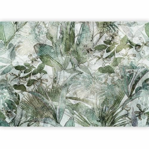 murando - Papier peint panoramique nature 350x256 cm - Revêtement mural décoration pour chambre salon cuisine - Design unique et moderne - Vert gris - Feuilles de plantes naturelles b-C-0871-a-a