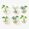 Toemics 6 Pcs Wall Hanging Glass Planters Wall Mounted Round Glass Plant Pots Spherical Terrariums Flower Vase for Indoor, Outdoor, Home, Office, Wedding Decor